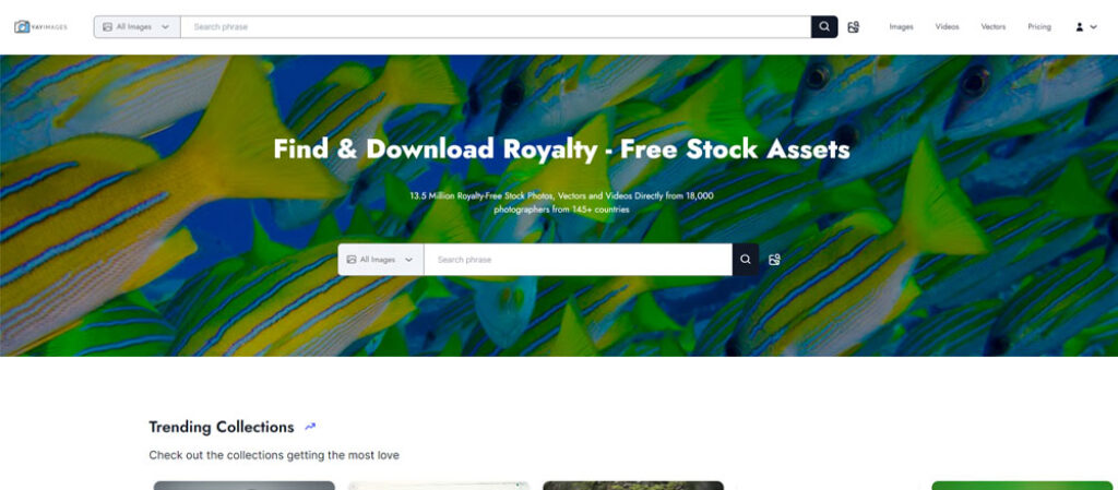 Yay Images lifetime deal